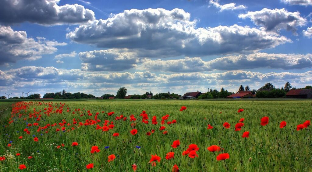 Land
